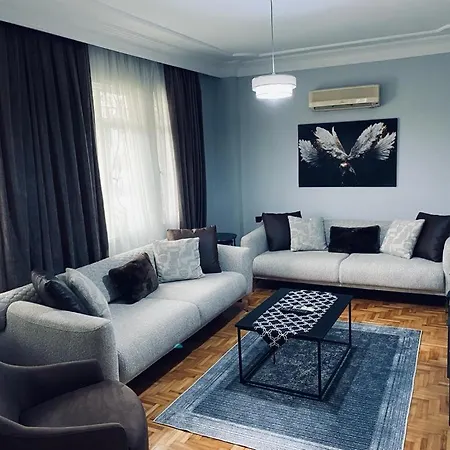 Luxury House In