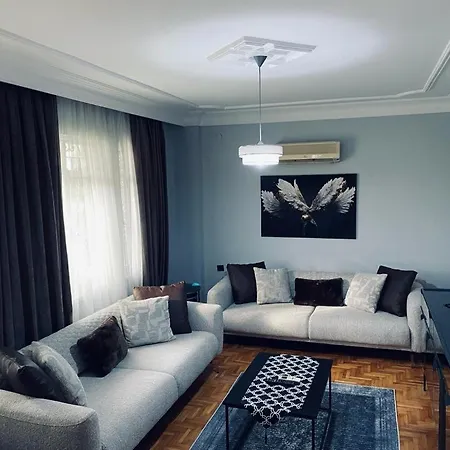 Luxury House In *